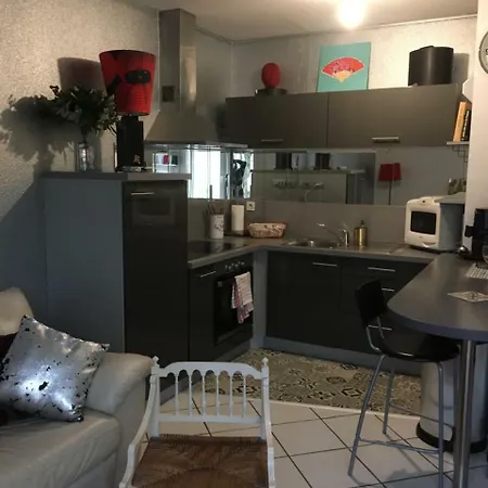 Le Garden Victoria - Canal & Cathedrale -30m2 & Garden Appartement Nancy