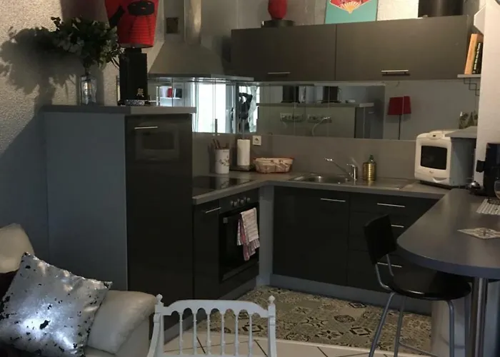 Le Garden Victoria - Canal & Cathedrale -30m2 & Garden Apartment Nancy