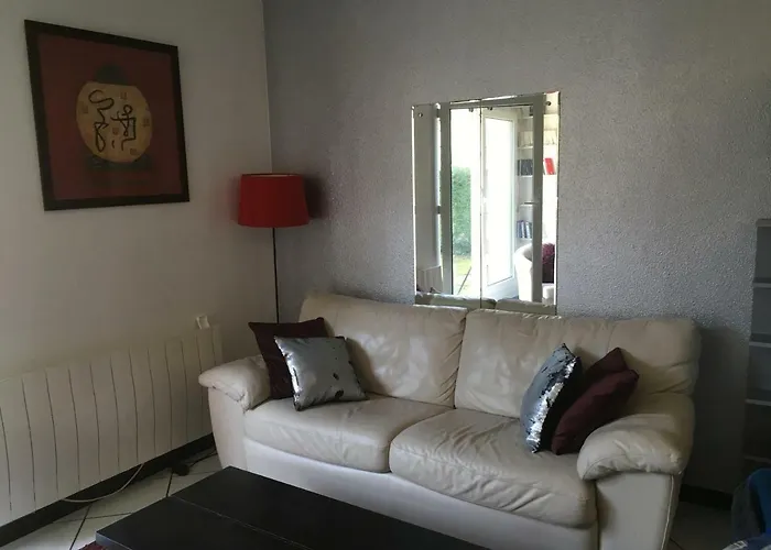 Apartment Le Garden Victoria - Canal & Cathedrale -30m2 & Garden Nancy