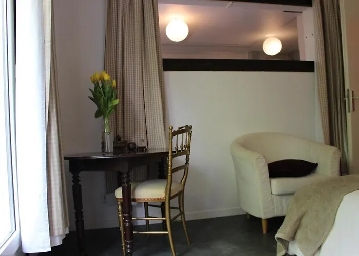 Le Garden Victoria - Canal & Cathedrale -30m2 & Garden Apartment Nancy